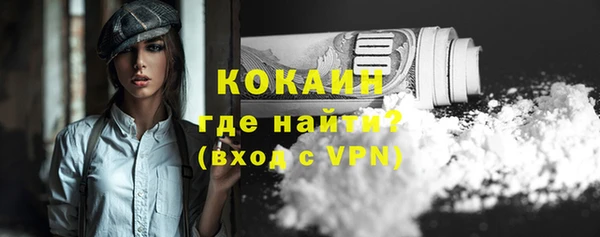 стаф Каменногорск
