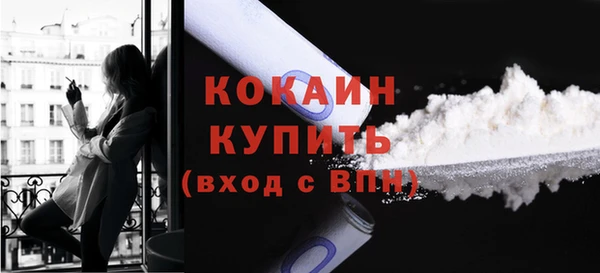 стаф Каменногорск