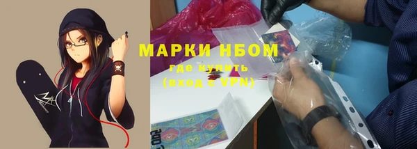 стаф Каменка