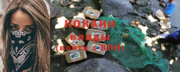 стаф Каменка