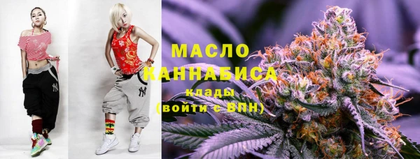 стаф Каменка