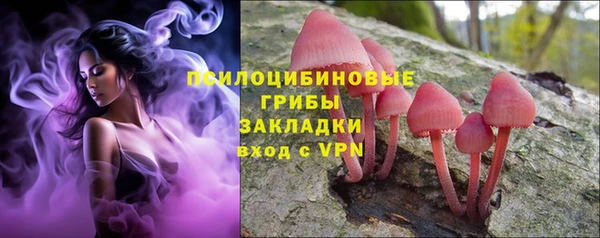 стаф Каменка