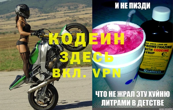стаф Каменка