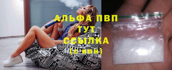 стаф Каменка
