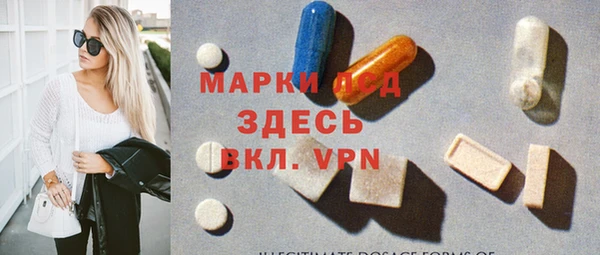 стаф Каменка