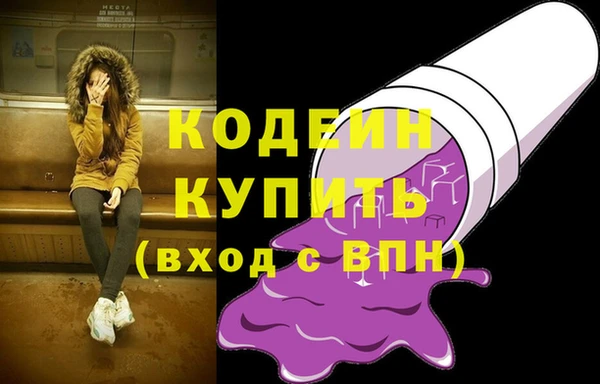 стаф Каменка