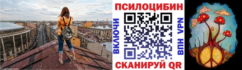 Псилоцибиновые грибы Cubensis  Купить  Вельск 